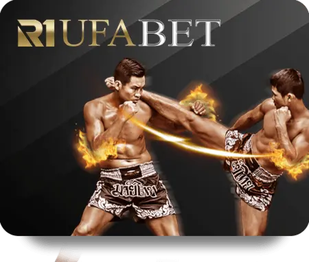 wtm-spinix cover image webp